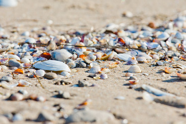 Similar image 11174543