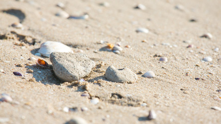 Similar image 11172707