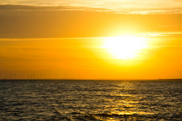 Similar image 11174654