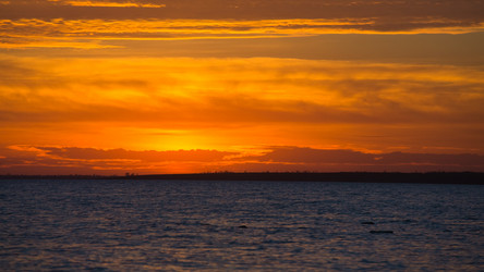 Similar image 11174658