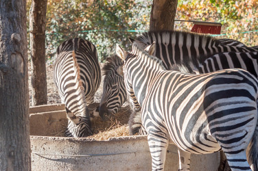 Similar image 10959385