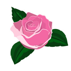 Similar image 10960788