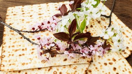 Similar image 10960270