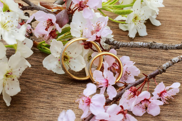 Similar image 10960271