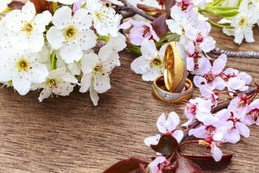 Similar image 10960272