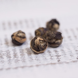 Similar image 10960007