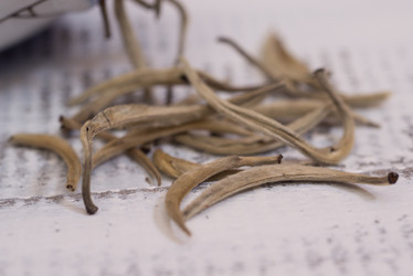 Similar image 10960011