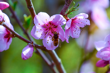 Similar image 11332403