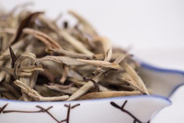 Similar image 10960013