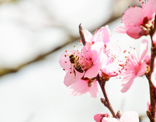 Similar image 11332405