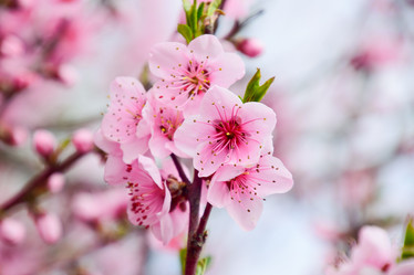 Similar image 11332407