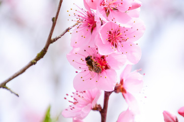 Similar image 11332410