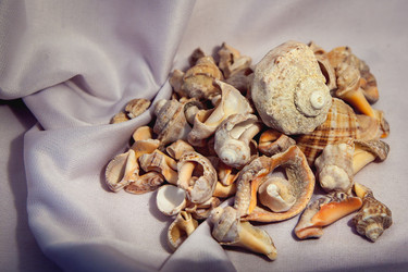 Similar image 10959251