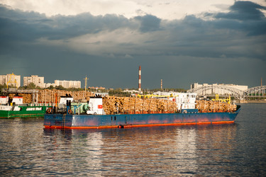 Similar image 11046434