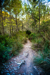 Similar image 11046815