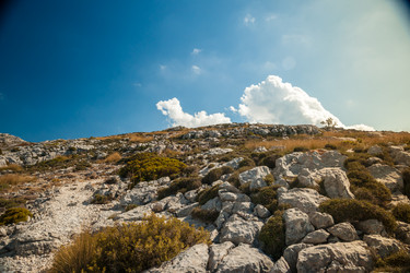 Similar image 11046452