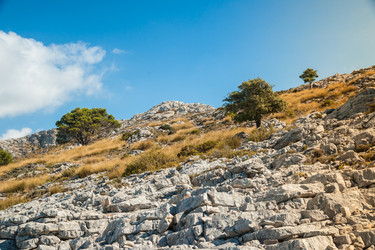 Similar image 11046454