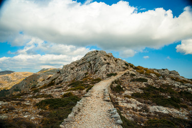 Similar image 10995288