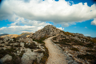 Similar image 10995289