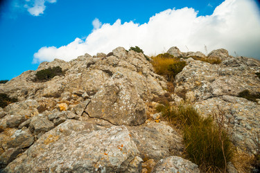 Similar image 10995295