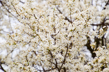 Similar image 11331772