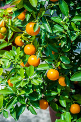 Similar image 10995419