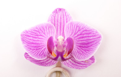 Similar image 11046280