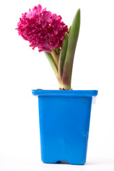 Similar image 11046281