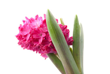 Similar image 11046286