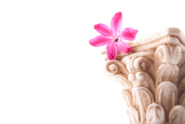 Similar image 11046289