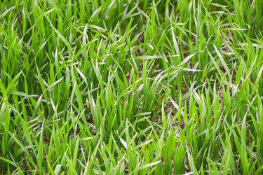 Similar image 11332414