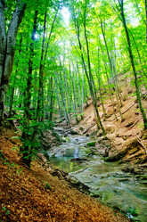 Similar image 10994245