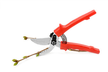 Similar image 10959676