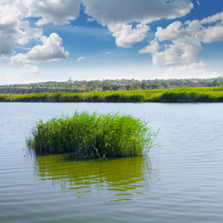 Similar image 10959679