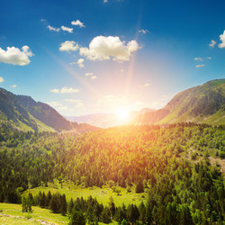 Similar image 10959643