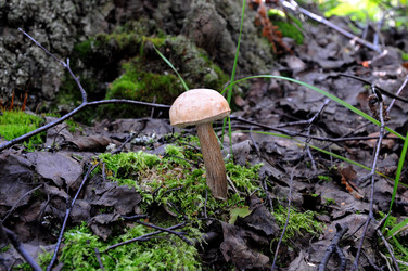 Similar image 10959226