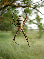 Similar image 10959194