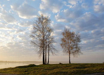 Similar image 10959319