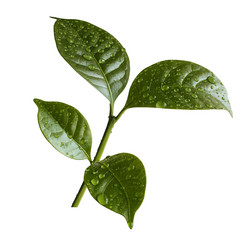 Similar image 10959196