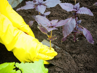 Similar image 10959284