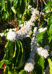 Similar image 11147581