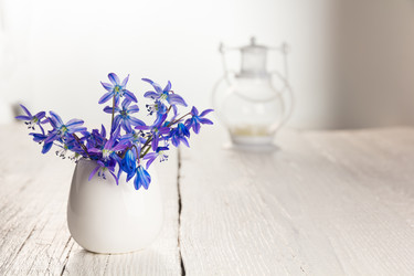 Similar image 10960532