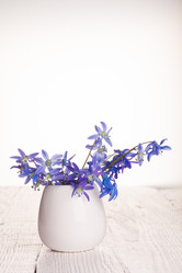 Similar image 10960533