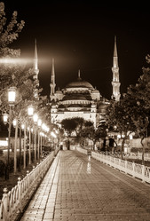 Similar image 11147488