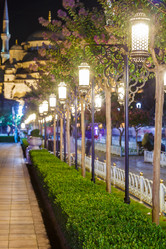 Similar image 11147489