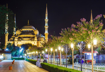 Similar image 10963789