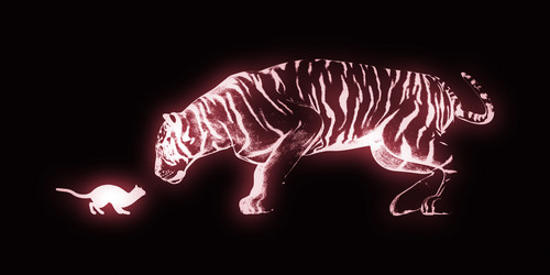 Similar image 11283760