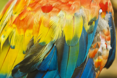 Similar image 11280668