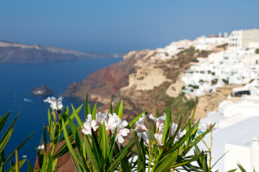 Similar image 10961586