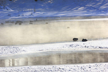 Similar image 10961344